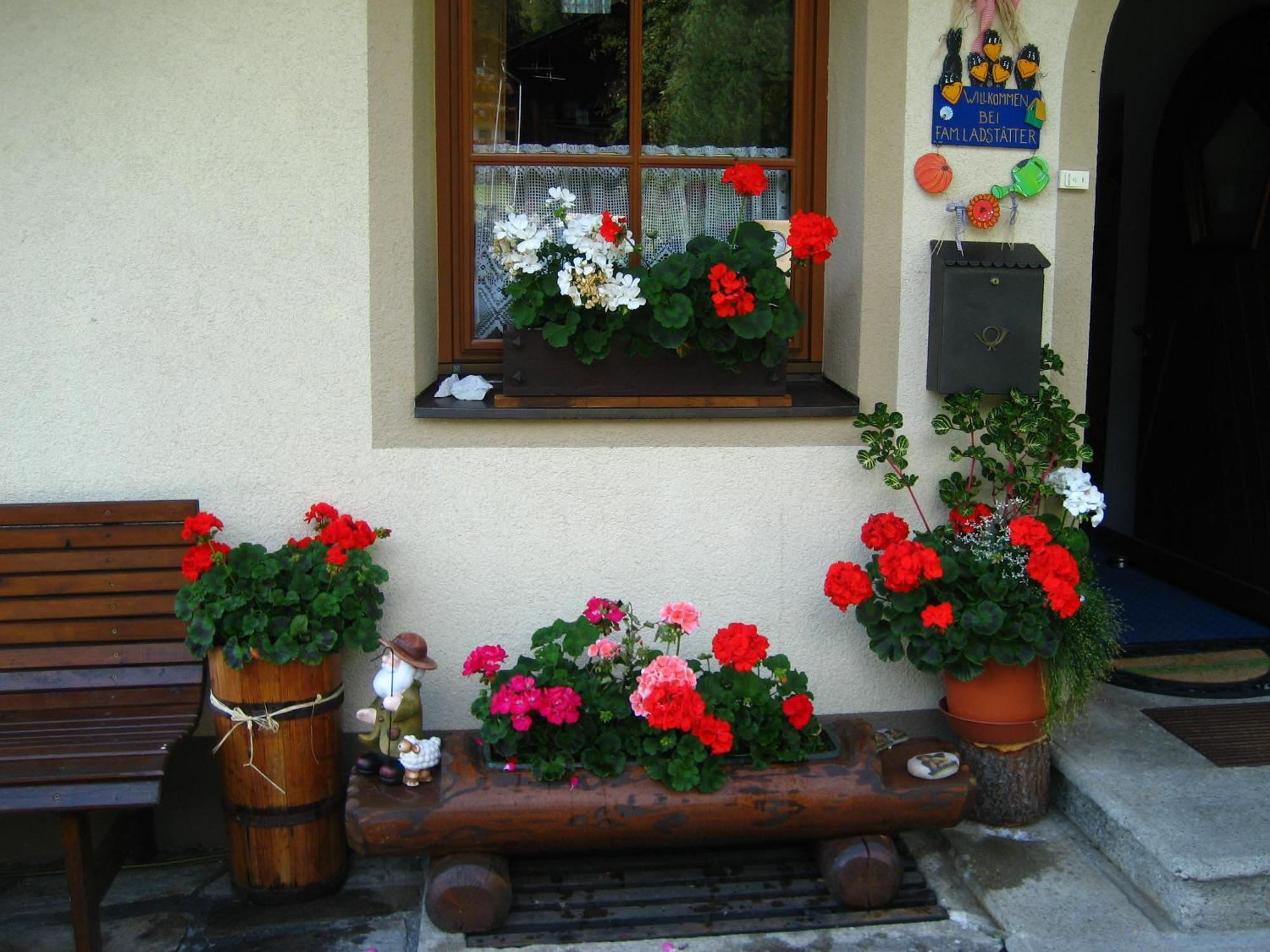 Haus Arnika Apartment Sankt Jakob in Defereggen Exterior photo